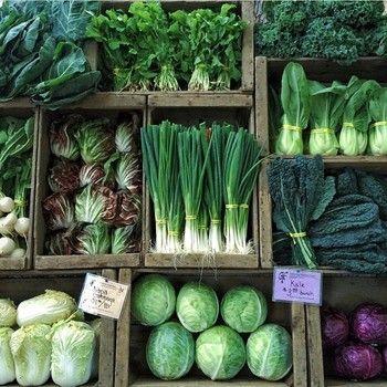Roots & Fruits: Earth’s Natural Delight Collection